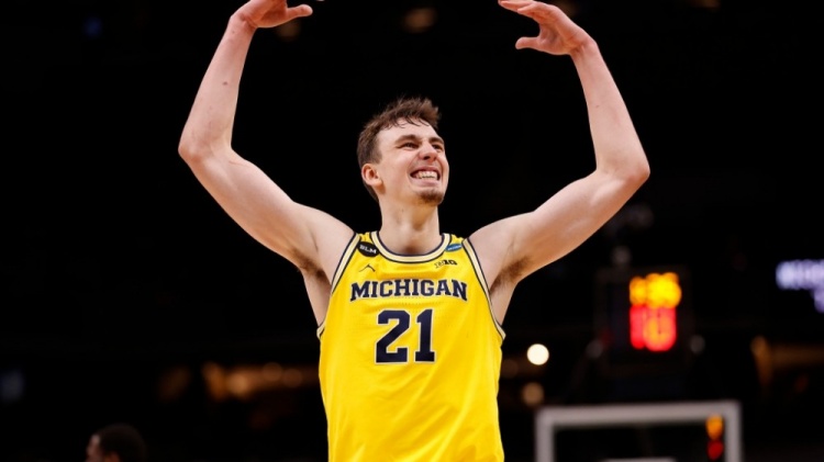 男子鞍马项 男子鞍马项